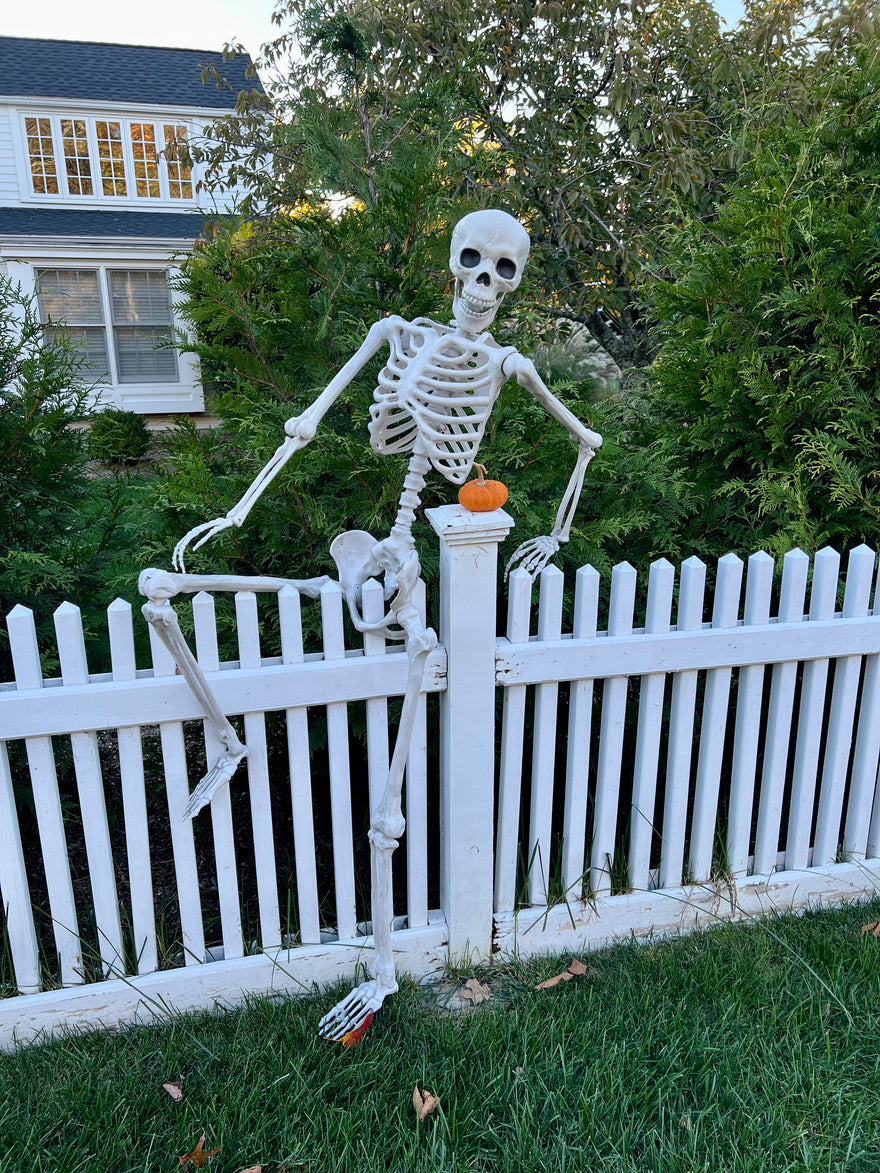 Nutrition for Bone Health