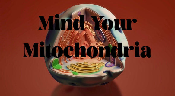 Mind Your Mitochondria!