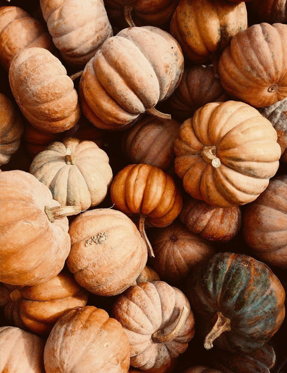 Finding Balance This Thanksgiving: The Science of Gratitude, Digestion & Holiday Joy