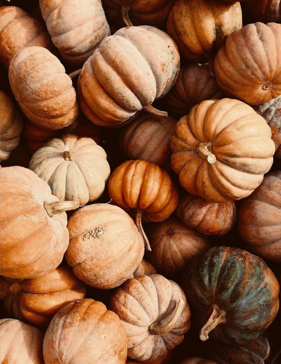 Finding Balance This Thanksgiving: The Science of Gratitude, Digestion & Holiday Joy