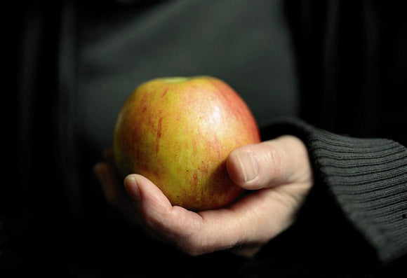 🥗 Diet vs. Exercise for Weight Loss: What Matters More?