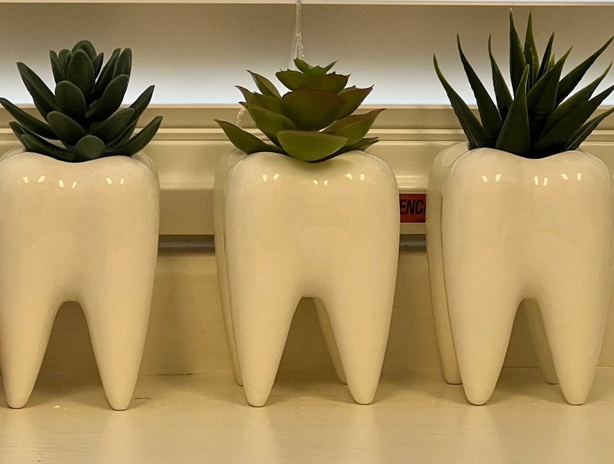 Smile! Oral hygiene affects your overall health