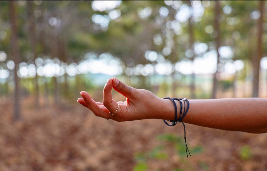 The Vagus Nerve and Well Being