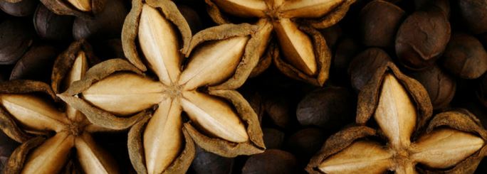 Inflammation, Omega-3s, and Sacha Inchi Protein