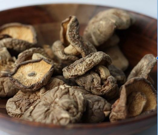 Mushroom 🍄 Madness