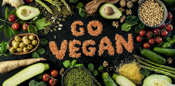 Why Veganism is the Future