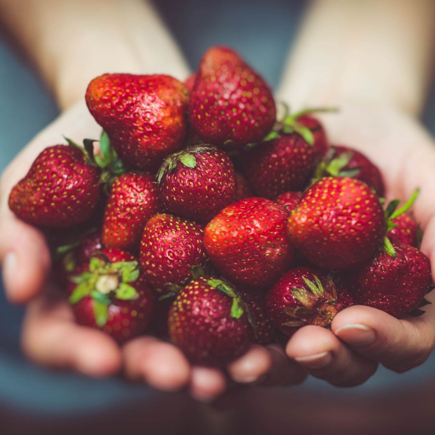 Berry Delicious: Strawberries