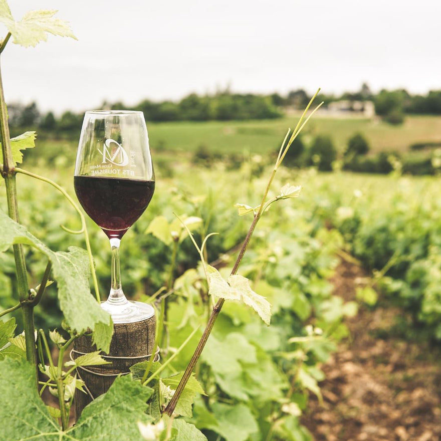 Fitness Trends: Drinking While Working Out