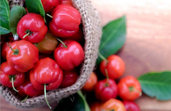 Acerola: The Superfood for Athletes