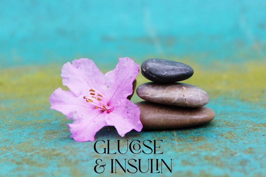 Blood sugar and the insulin response