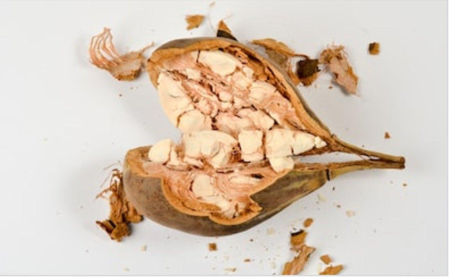 Baobab Fruit for Pre and Post-Workout Nutrition