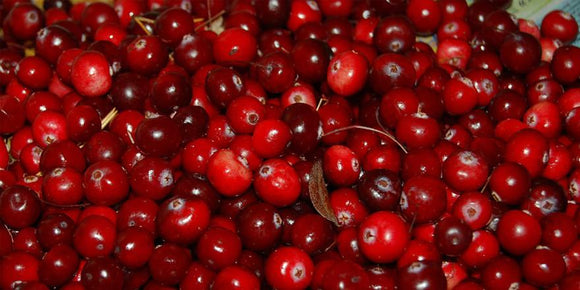 Organic Cranberry – A Plant Based Protein