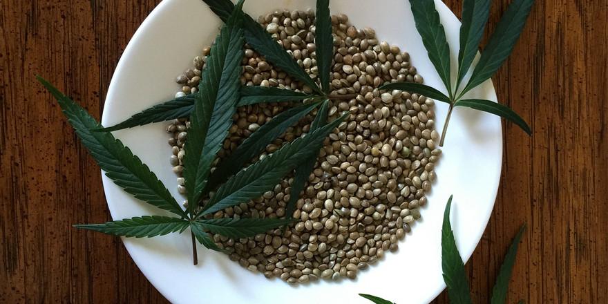 Hemp Seed Protein – Vitamins and Minerals