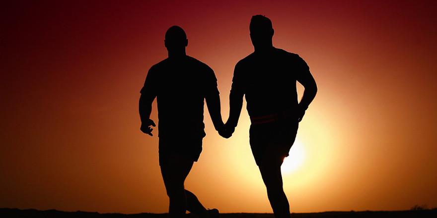 Cholesterol and Protein Powder