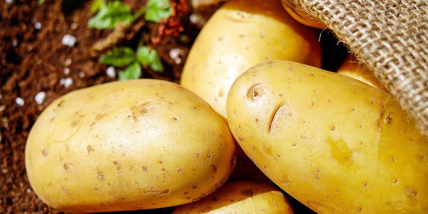 Potato protein isolate