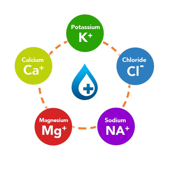 The Importance of Electrolytes