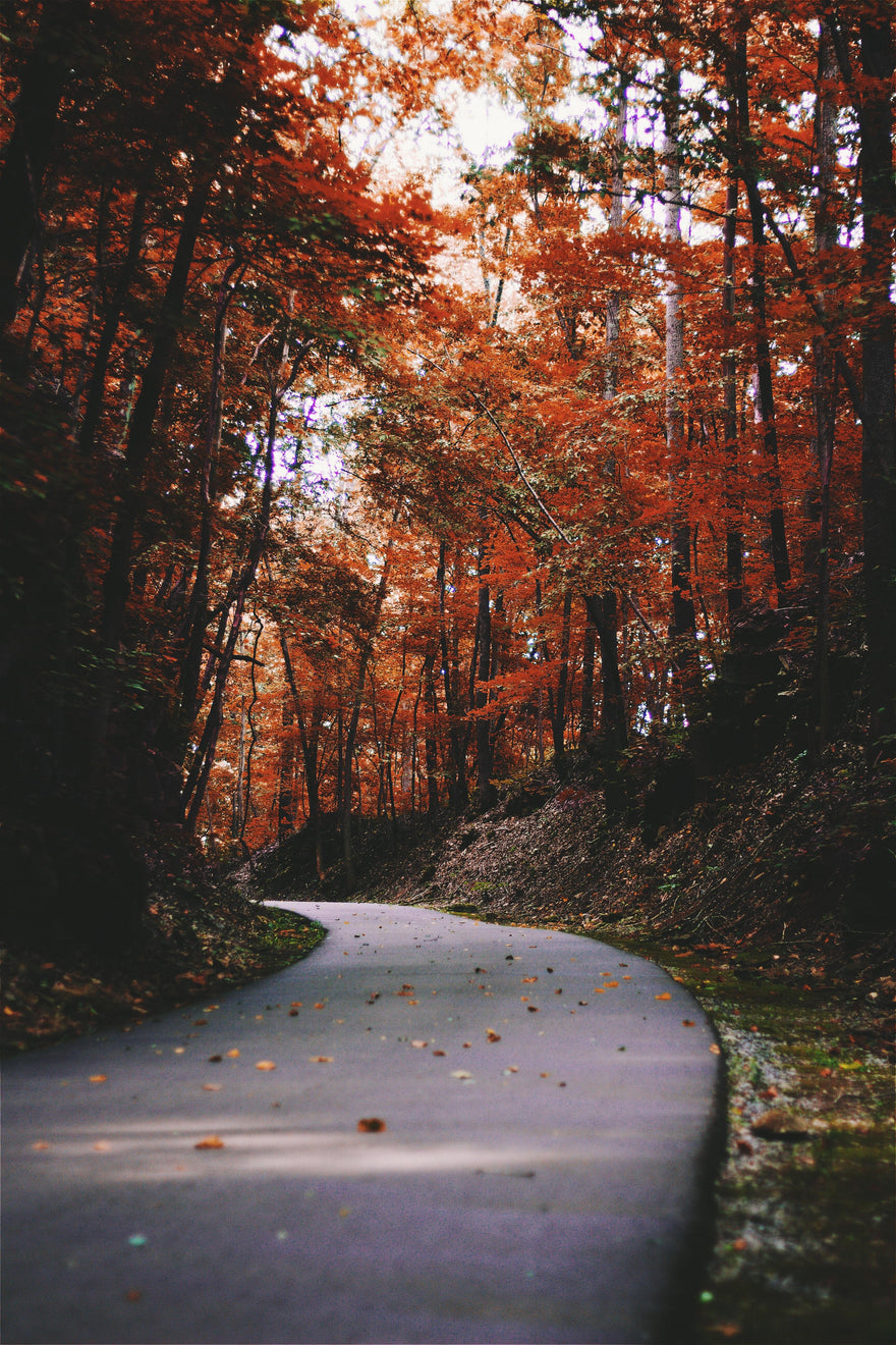Staying Active In The Fall