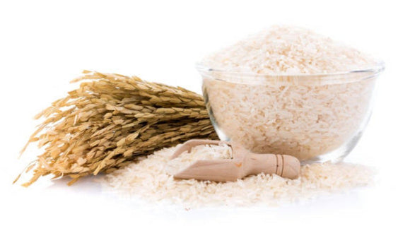 Importance of Fiber for the Ketogenic Diet