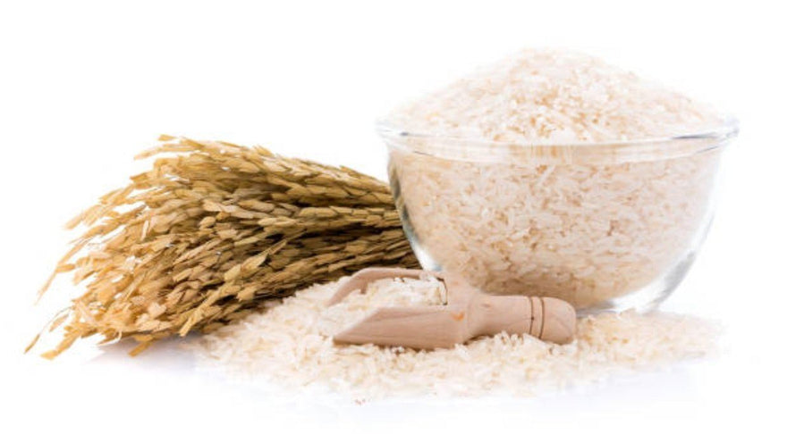Importance of Fiber for the Ketogenic Diet
