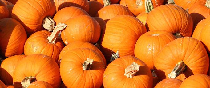 The Great Pumpkin