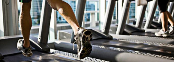 Be Successful In The New Year: “PLANT” Your Goals