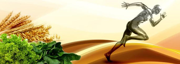 Athletes and Plant-Based Diets