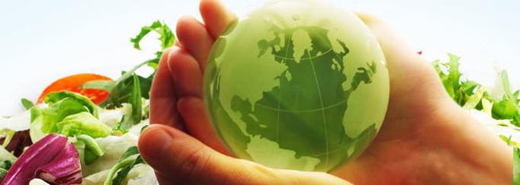 Livestock, the Environment, and Your Plant-based Diet