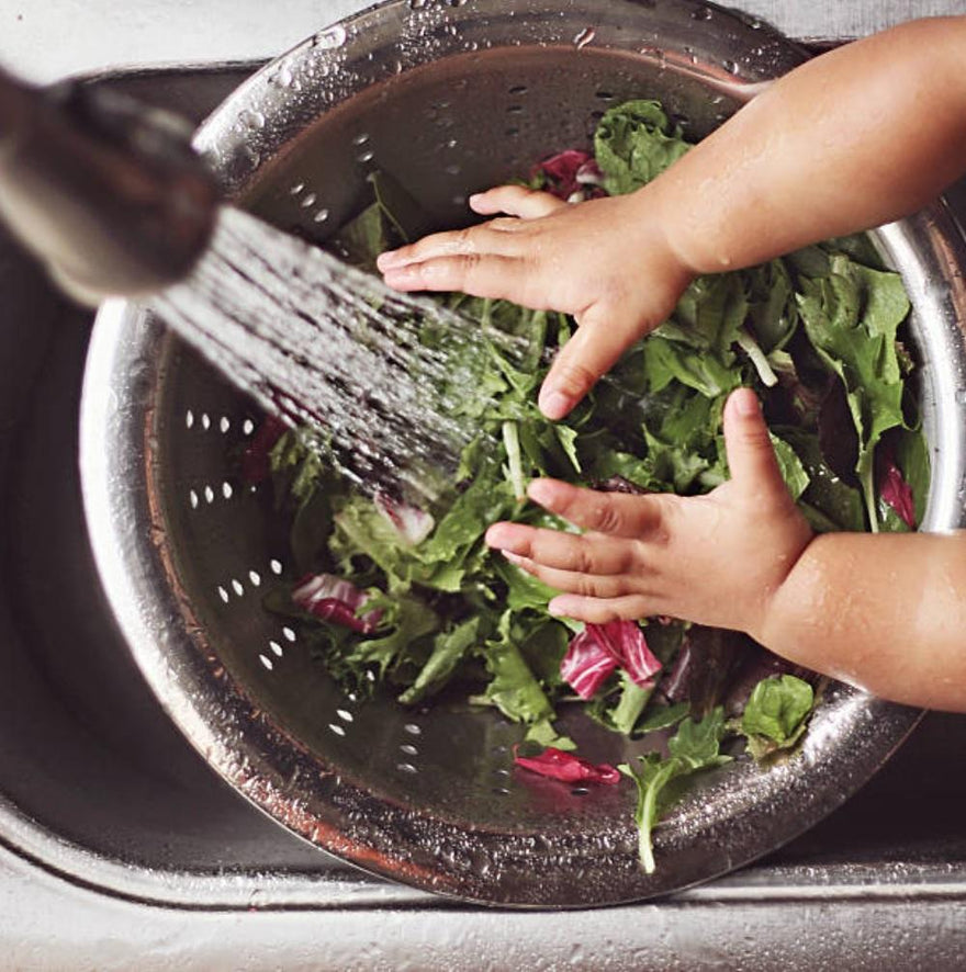 Easy Plant-Based Recipe Ideas for Kids