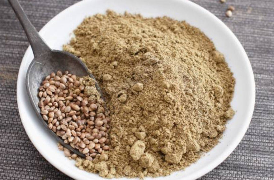 A Beginner’s Guide to Plant-Based Protein Sources and Their Benefits