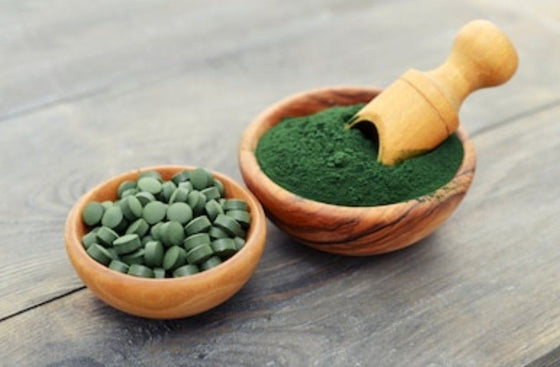 Spirulina: Potential Protein Source