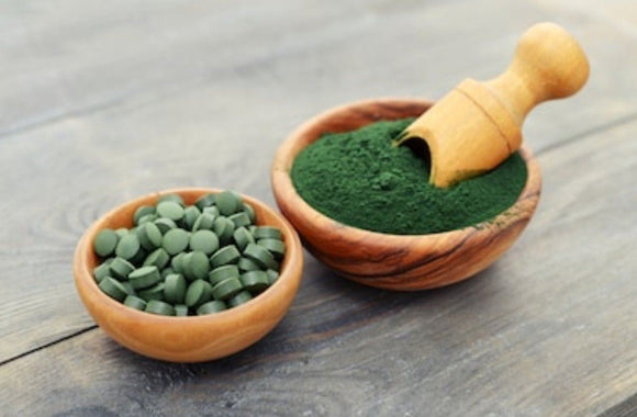 Spirulina: Potential Protein Source