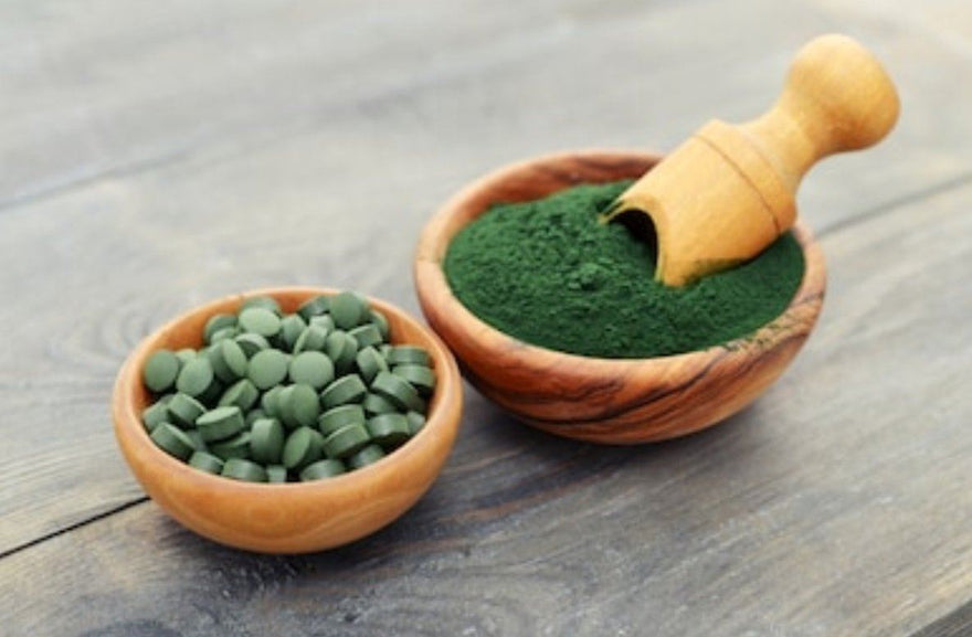 Spirulina: Potential Protein Source