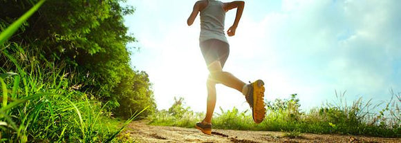 Macronutrients for Muscle Recovery