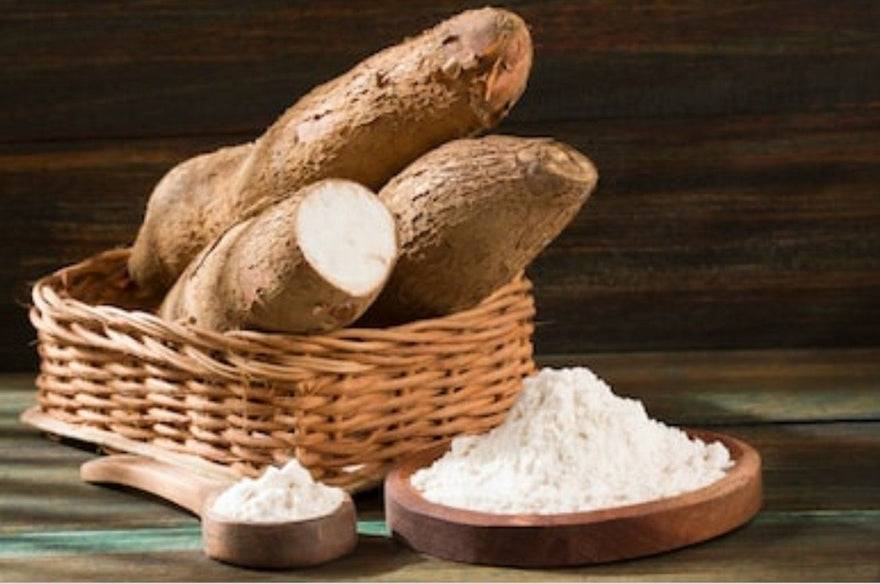Tapioca Fiber: A Prebiotic with Amazing Health Benefits