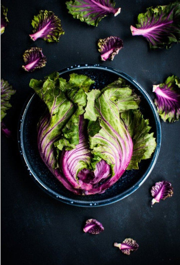 Tips to Succeed in Spring Cleaning Your Health with the Plant-Based Diet